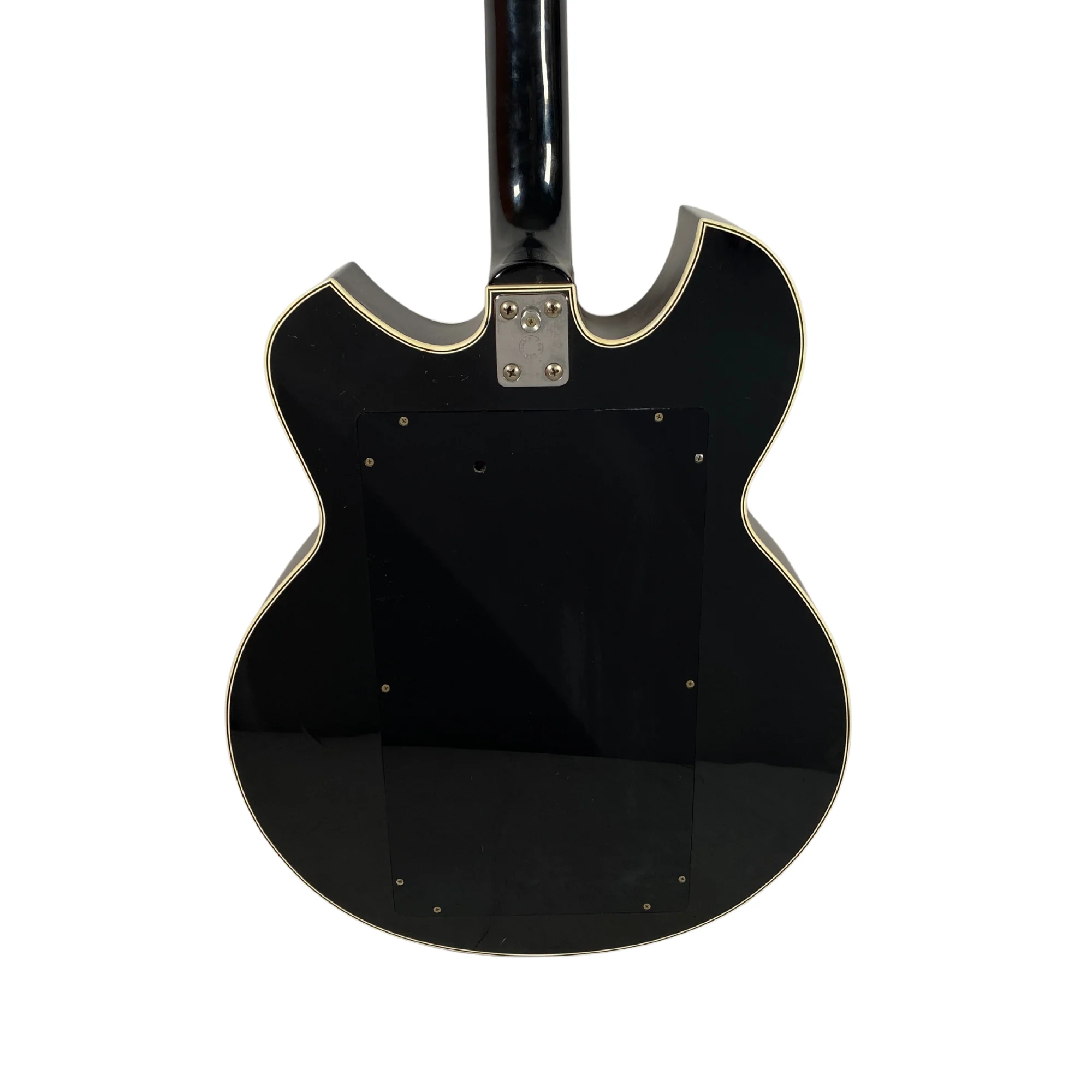 Godwin Guitar Organ Deluxe (Sisme) - Image 12